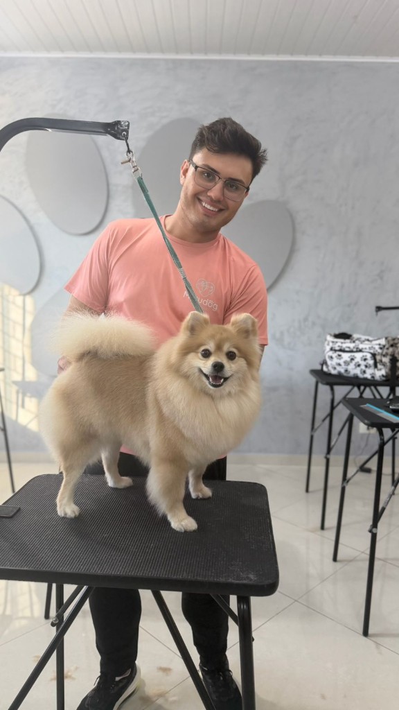 Victor Hugo Monteiro, tosador da Miaudog, com Spitz na mesa de tosa em Curitiba — banho e tosa no Bairro Alto